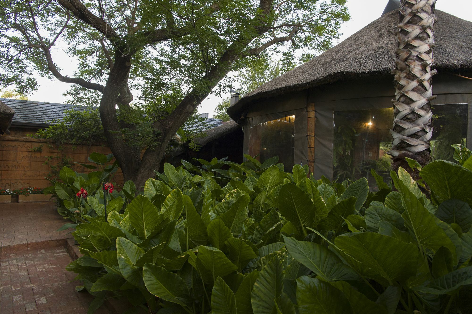 Bayswater Lodge Bloemfontein Luaran gambar